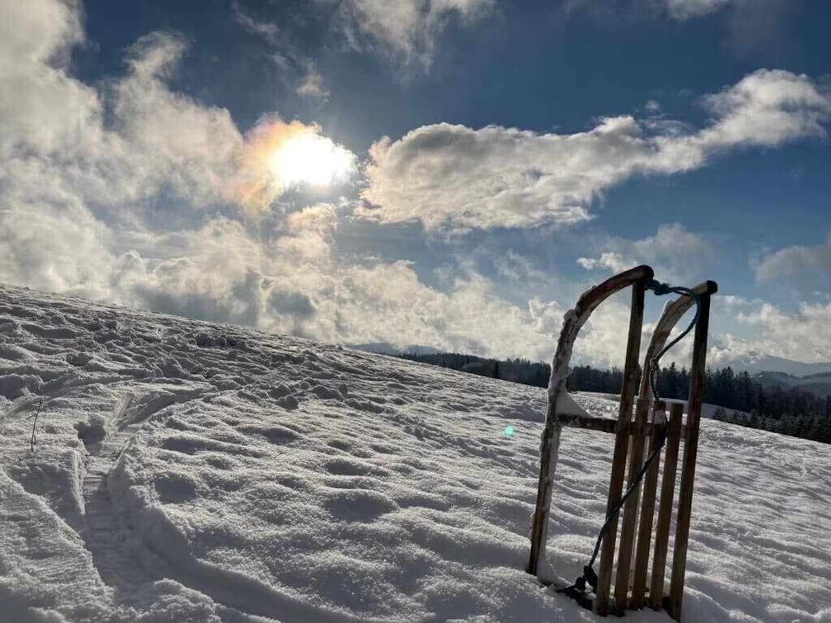 Schlittenfahren im Schnee